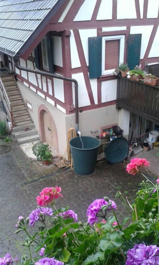Galerie Über den Gärten Herbolzheim Exterior foto